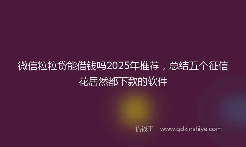 微信粒粒贷能借钱吗2025年推荐，总结五个征信花居然都下款的软件
