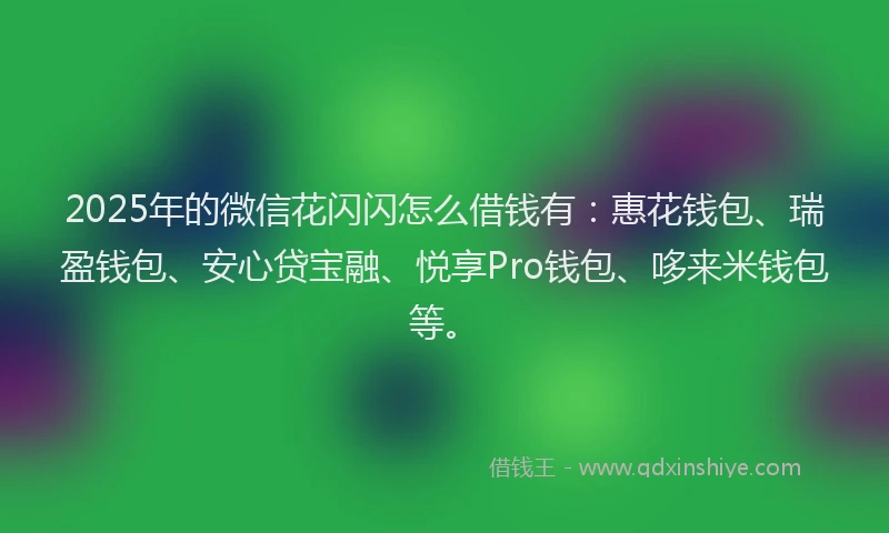 2025年的微信花闪闪怎么借钱有：惠花钱包、瑞盈钱包、安心贷宝融、悦享Pro钱包、哆来米钱包等。