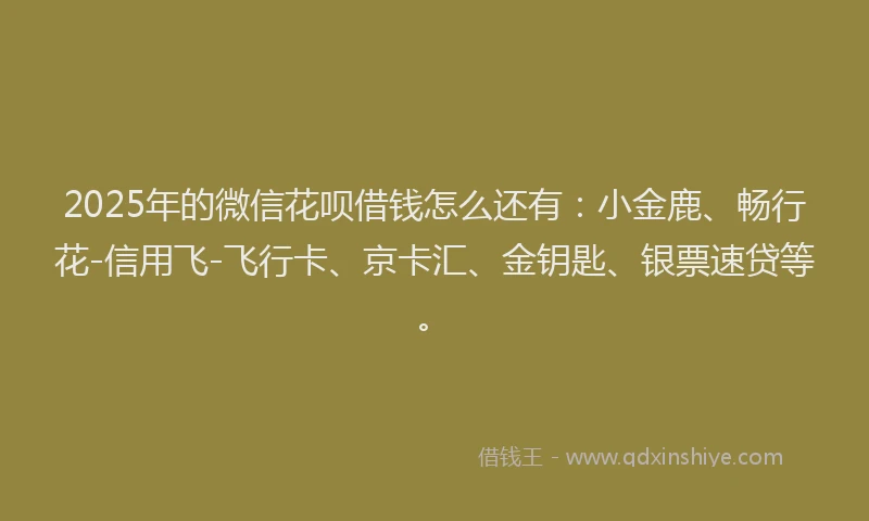 2025年的微信花呗借钱怎么还有：小金鹿、畅行花-信用飞-飞行卡、京卡汇、金钥匙、银票速贷等。