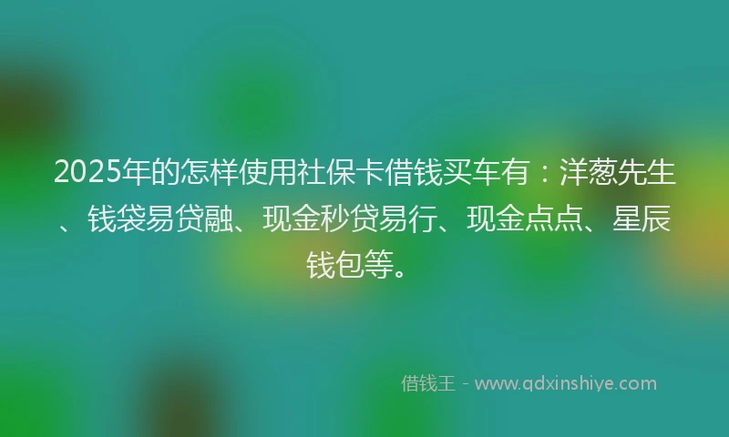 2025年的怎样使用社保卡借钱买车有：洋葱先生、钱袋易贷融、现金秒贷易行、现金点点、星辰钱包等。