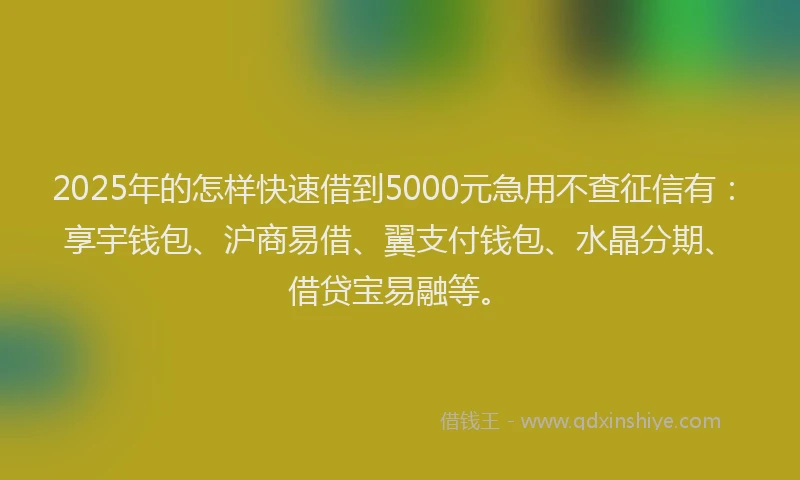 2025年的怎样快速借到5000元急用不查征信有：享宇钱包、沪商易借、翼支付钱包、水晶分期、借贷宝易融等。