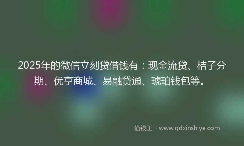 2025年的微信立刻贷借钱有：现金流贷、桔子分期、优享商城、易融贷通、琥珀钱包等。