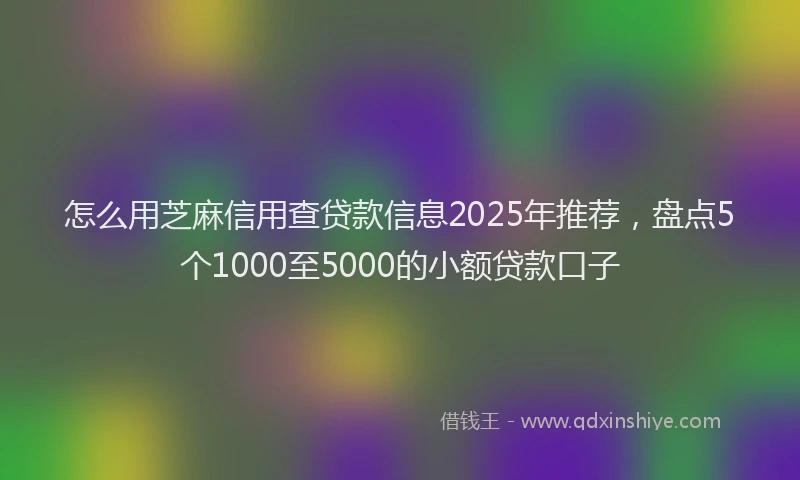 怎么用芝麻信用查贷款信息2025年推荐，盘点5个1000至5000的小额贷款口子