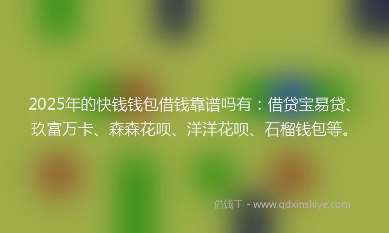 2025年的快钱钱包借钱靠谱吗有：借贷宝易贷、玖富万卡、森森花呗、洋洋花呗、石榴钱包等。