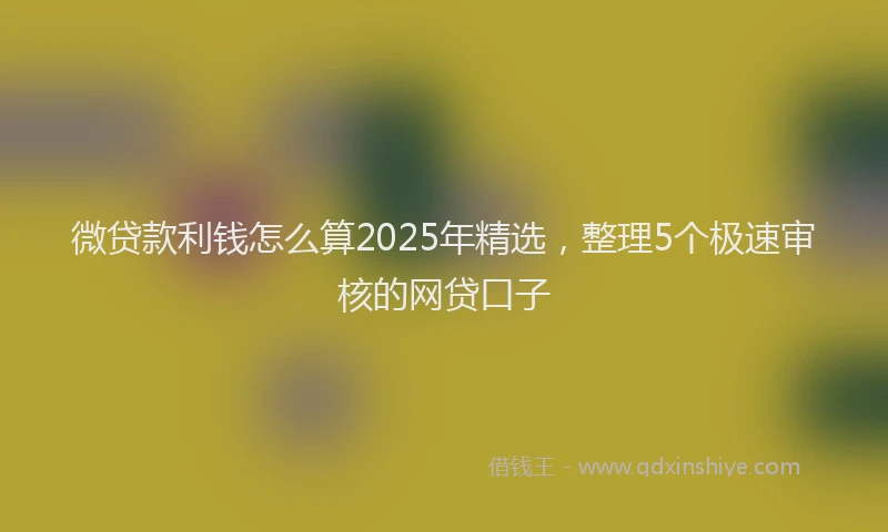 微贷款利钱怎么算2025年精选，整理5个极速审核的网贷口子