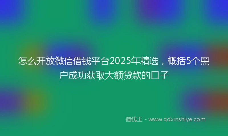 怎么开放微信借钱平台2025年精选，概括5个黑户成功获取大额贷款的口子