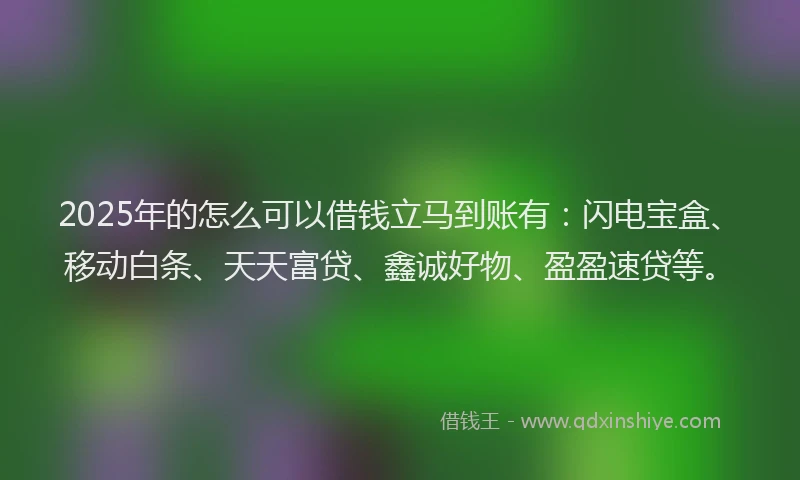 2025年的怎么可以借钱立马到账有：闪电宝盒、移动白条、天天富贷、鑫诚好物、盈盈速贷等。