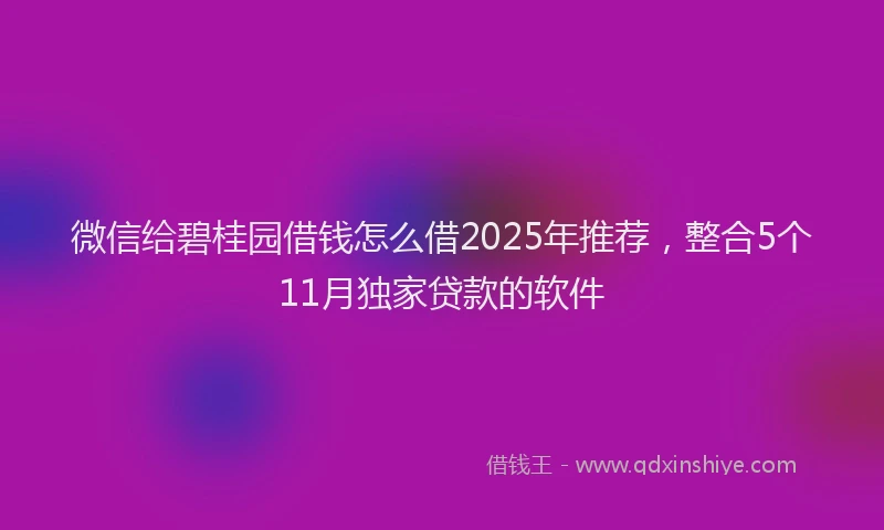 微信给碧桂园借钱怎么借2025年推荐，整合5个11月独家贷款的软件