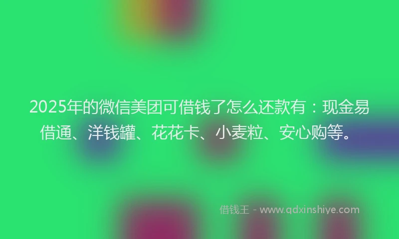 2025年的微信美团可借钱了怎么还款有：现金易借通、洋钱罐、花花卡、小麦粒、安心购等。