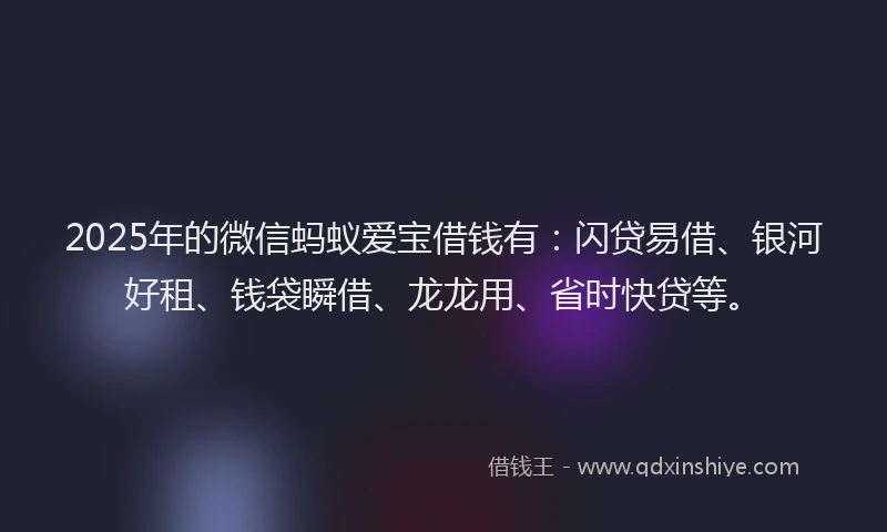 2025年的微信蚂蚁爱宝借钱有：闪贷易借、银河好租、钱袋瞬借、龙龙用、省时快贷等。