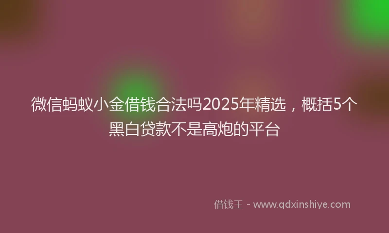 微信蚂蚁小金借钱合法吗2025年精选，概括5个黑白贷款不是高炮的平台
