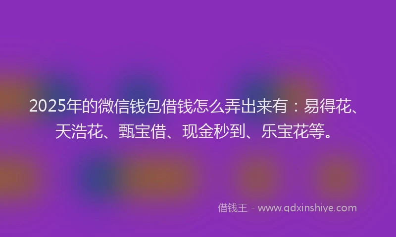 2025年的微信钱包借钱怎么弄出来有：易得花、天浩花、甄宝借、现金秒到、乐宝花等。