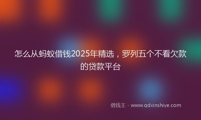 怎么从蚂蚁借钱2025年精选，罗列五个不看欠款的贷款平台