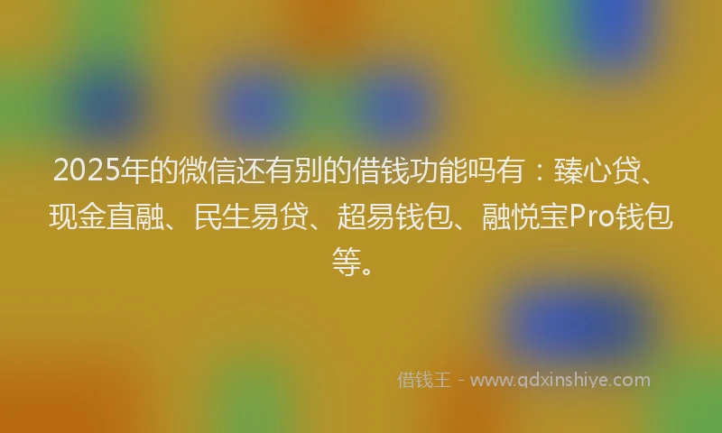 2025年的微信还有别的借钱功能吗有：臻心贷、现金直融、民生易贷、超易钱包、融悦宝Pro钱包等。