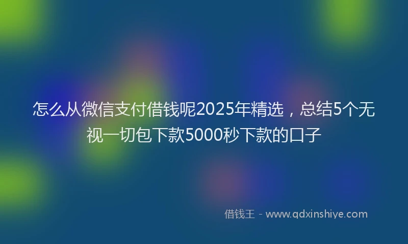 怎么从微信支付借钱呢2025年精选，总结5个无视一切包下款5000秒下款的口子