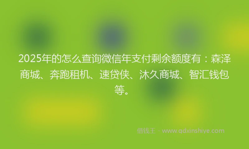 2025年的怎么查询微信年支付剩余额度有：森泽商城、奔跑租机、速贷侠、沐久商城、智汇钱包等。