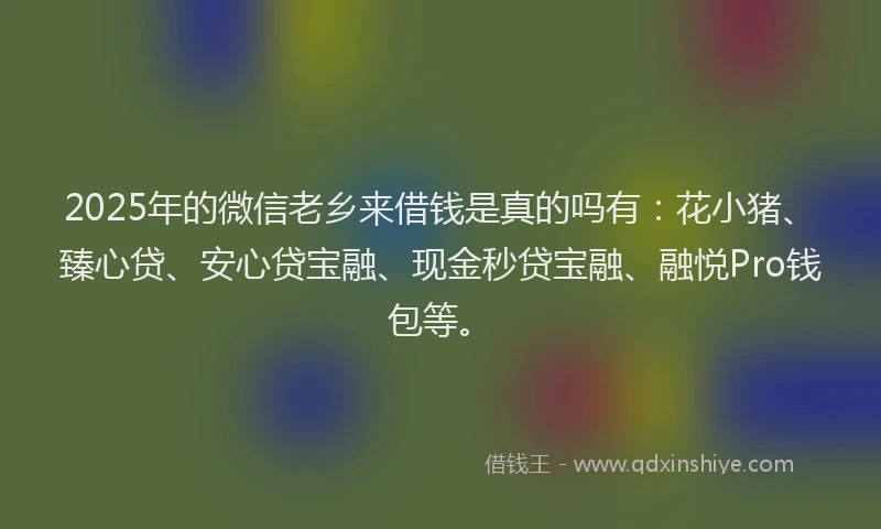 2025年的微信老乡来借钱是真的吗有：花小猪、臻心贷、安心贷宝融、现金秒贷宝融、融悦Pro钱包等。