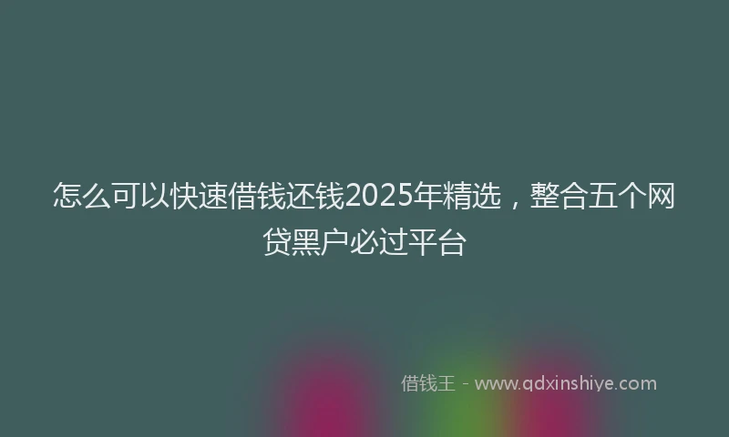 怎么可以快速借钱还钱2025年精选，整合五个网贷黑户必过平台