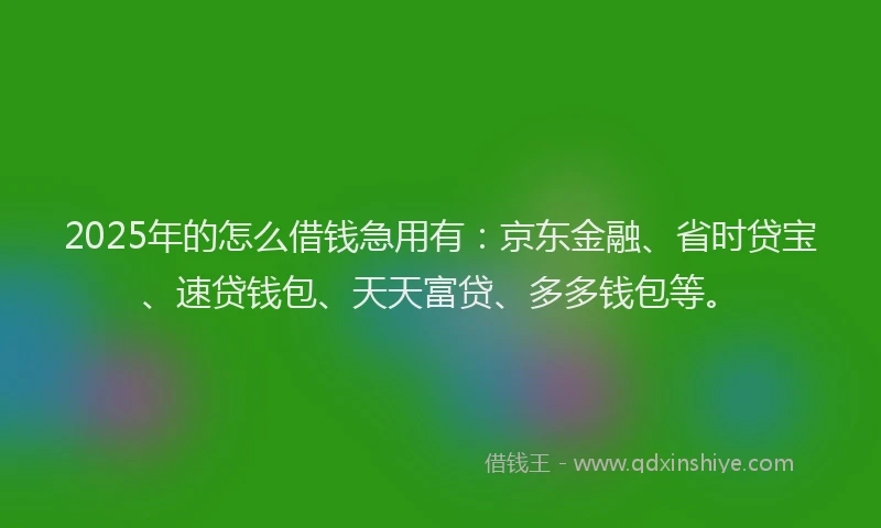 2025年的怎么借钱急用有：京东金融、省时贷宝、速贷钱包、天天富贷、多多钱包等。