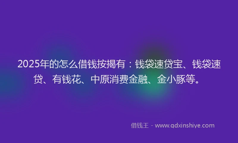 2025年的怎么借钱按揭有：钱袋速贷宝、钱袋速贷、有钱花、中原消费金融、金小豚等。