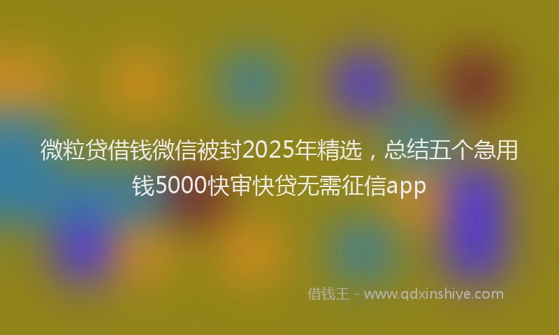 微粒贷借钱微信被封2025年精选，总结五个急用钱5000快审快贷无需征信app