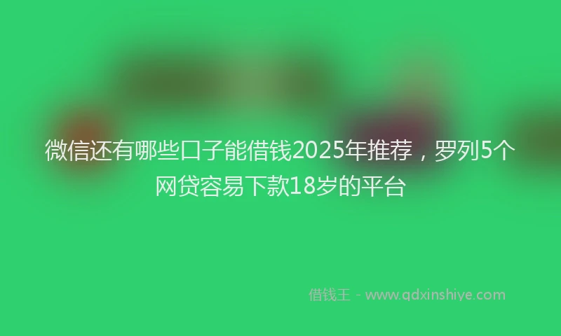 微信还有哪些口子能借钱2025年推荐，罗列5个网贷容易下款18岁的平台