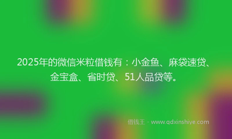 2025年的微信米粒借钱有：小金鱼、麻袋速贷、金宝盒、省时贷、51人品贷等。