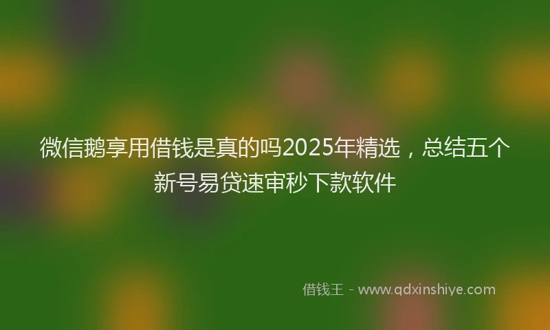 微信鹅享用借钱是真的吗2025年精选，总结五个新号易贷速审秒下款软件