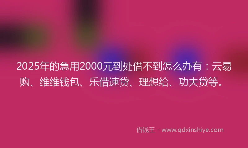2025年的急用2000元到处借不到怎么办有：云易购、维维钱包、乐借速贷、理想给、功夫贷等。