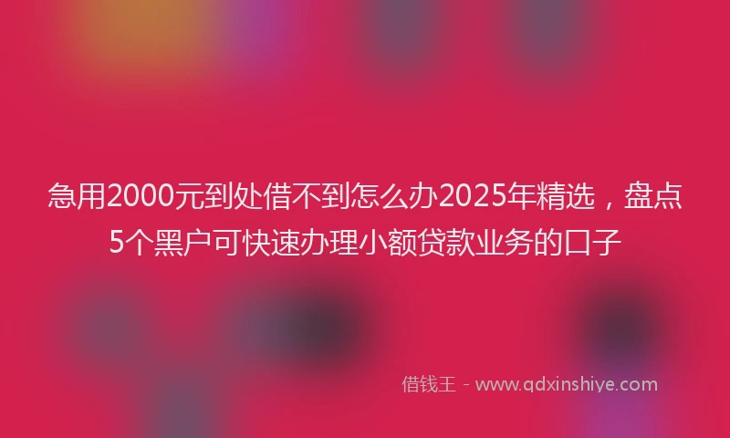 急用2000元到处借不到怎么办2025年精选，盘点5个黑户可快速办理小额贷款业务的口子