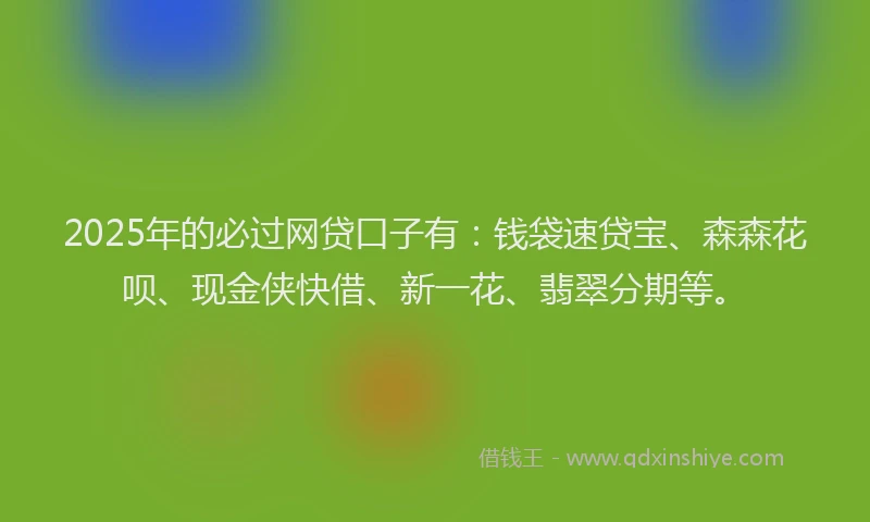 2025年的必过网贷口子有：钱袋速贷宝、森森花呗、现金侠快借、新一花、翡翠分期等。