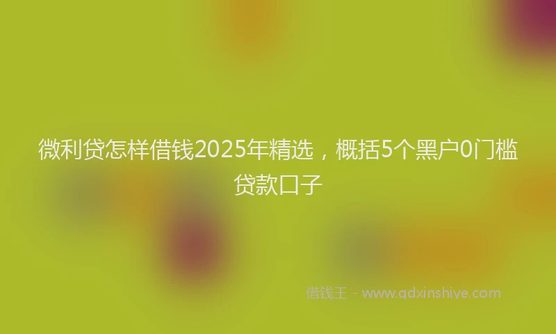 微利贷怎样借钱2025年精选，概括5个黑户0门槛贷款口子