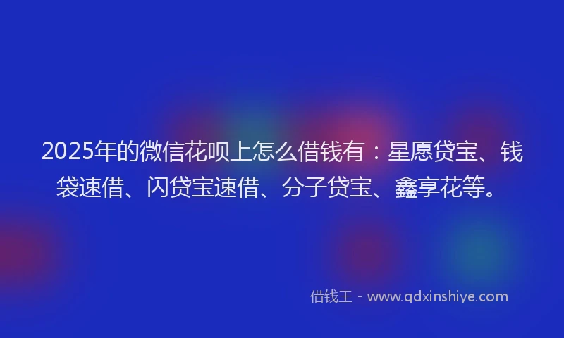 2025年的微信花呗上怎么借钱有：星愿贷宝、钱袋速借、闪贷宝速借、分子贷宝、鑫享花等。