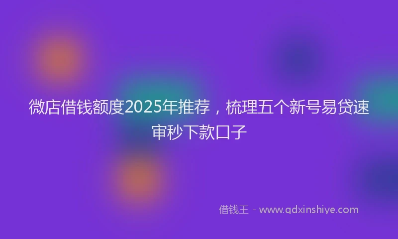 微店借钱额度2025年推荐，梳理五个新号易贷速审秒下款口子