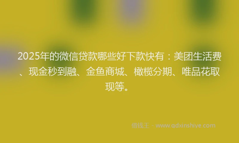 2025年的微信贷款哪些好下款快有：美团生活费、现金秒到融、金鱼商城、橄榄分期、唯品花取现等。