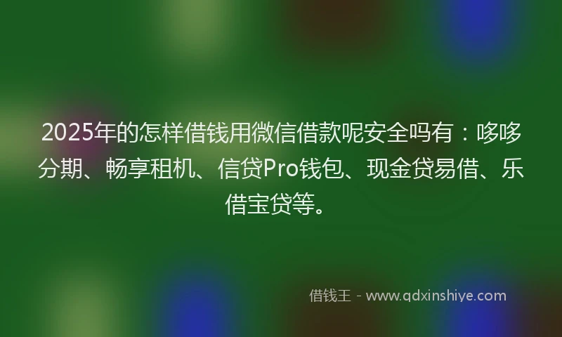 2025年的怎样借钱用微信借款呢安全吗有：哆哆分期、畅享租机、信贷Pro钱包、现金贷易借、乐借宝贷等。