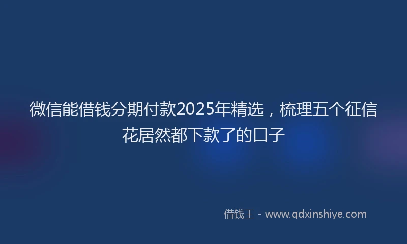 微信能借钱分期付款2025年精选，梳理五个征信花居然都下款了的口子