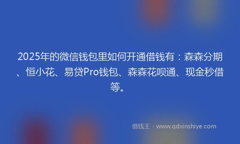 2025年的微信钱包里如何开通借钱有：森森分期、恒小花、易贷Pro钱包、森森花呗通、现金秒借等。