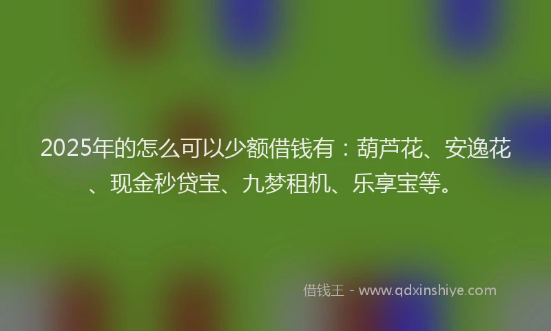 2025年的怎么可以少额借钱有：葫芦花、安逸花、现金秒贷宝、九梦租机、乐享宝等。