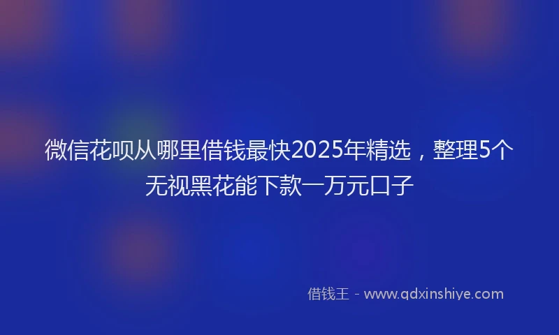 微信花呗从哪里借钱最快2025年精选，整理5个无视黑花能下款一万元口子