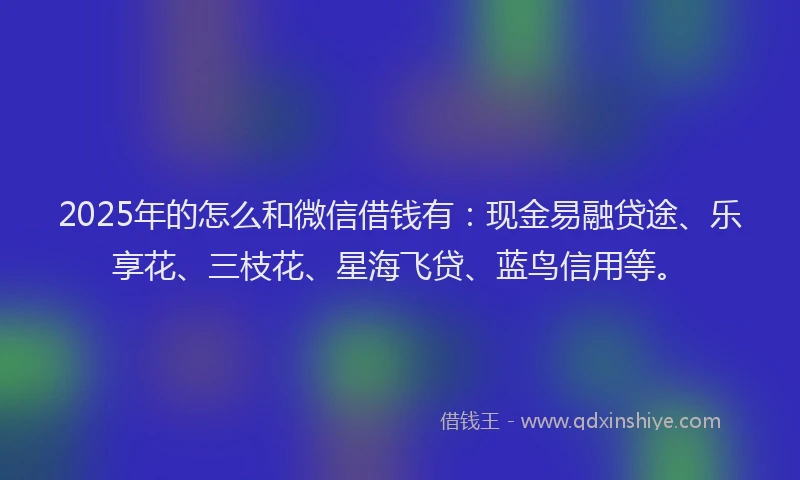 2025年的怎么和微信借钱有：现金易融贷途、乐享花、三枝花、星海飞贷、蓝鸟信用等。