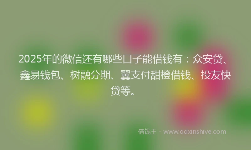 2025年的微信还有哪些口子能借钱有：众安贷、鑫易钱包、树融分期、翼支付甜橙借钱、投友快贷等。