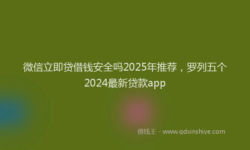 微信立即贷借钱安全吗2025年推荐，罗列五个2024最新贷款app