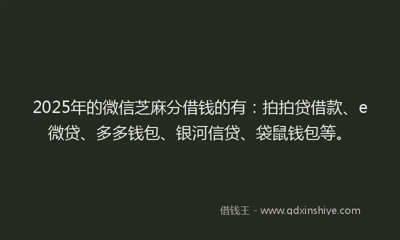 2025年的微信芝麻分借钱的有：拍拍贷借款、e微贷、多多钱包、银河信贷、袋鼠钱包等。