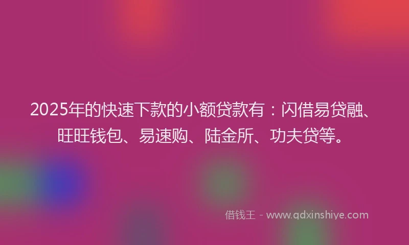 2025年的快速下款的小额贷款有：闪借易贷融、旺旺钱包、易速购、陆金所、功夫贷等。
