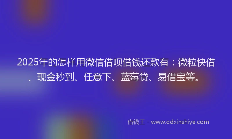 2025年的怎样用微信借呗借钱还款有：微粒快借、现金秒到、任意下、蓝莓贷、易借宝等。