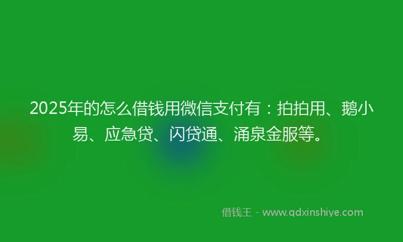 2025年的怎么借钱用微信支付有：拍拍用、鹅小易、应急贷、闪贷通、涌泉金服等。
