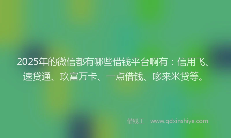 2025年的微信都有哪些借钱平台啊有：信用飞、速贷通、玖富万卡、一点借钱、哆来米贷等。