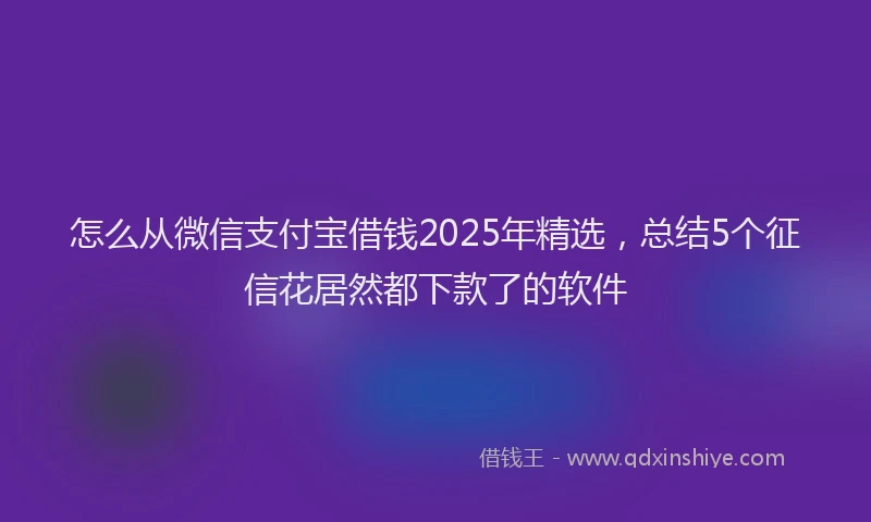 怎么从微信支付宝借钱2025年精选，总结5个征信花居然都下款了的软件