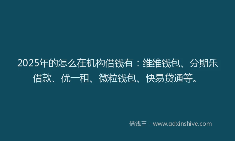 2025年的怎么在机构借钱有：维维钱包、分期乐借款、优一租、微粒钱包、快易贷通等。